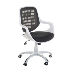Ergonomiczny Fotel Biurowy BX-4325C