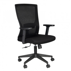 Ergonomiczny Fotel Biurowy Comfort 32, Czarny